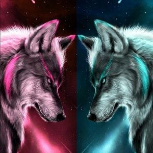 Meet your Posher, Jazmin